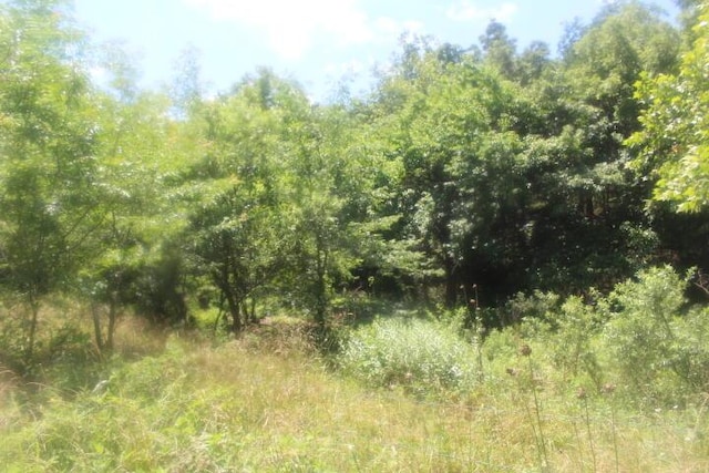 3176 S 170th Rd, Polk, MO 65727
