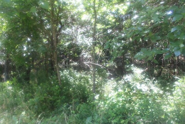 3176 S 170th Rd, Polk, MO 65727