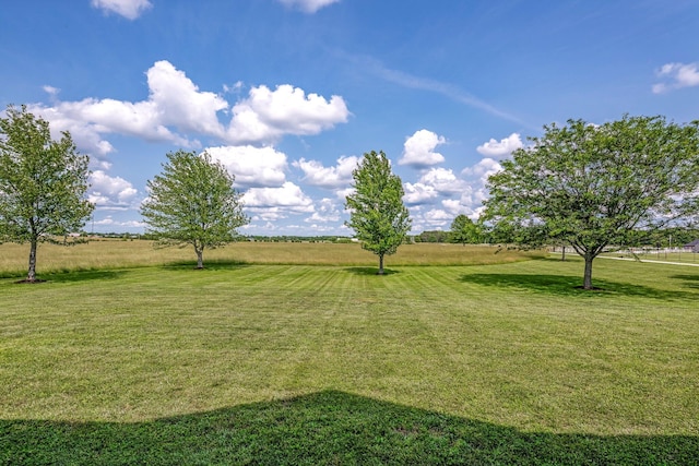 10158 E Beth Ln, Rogersville, MO 65742 - photo 43