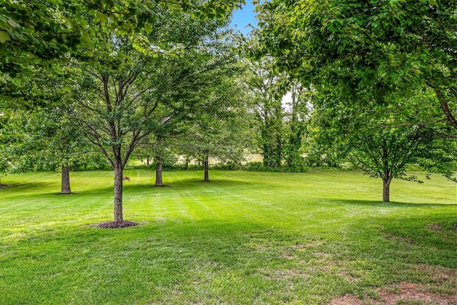 10158 E Beth Ln, Rogersville, MO 65742 - photo 42