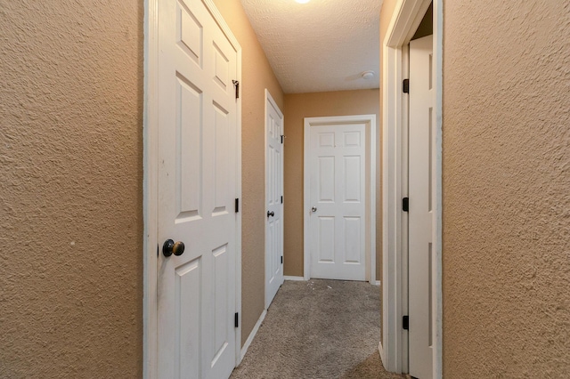 5441 Basswood Ct W, Springfield, MO 65802 - hallway featuring carpet, a textured wall, and a textured ceiling