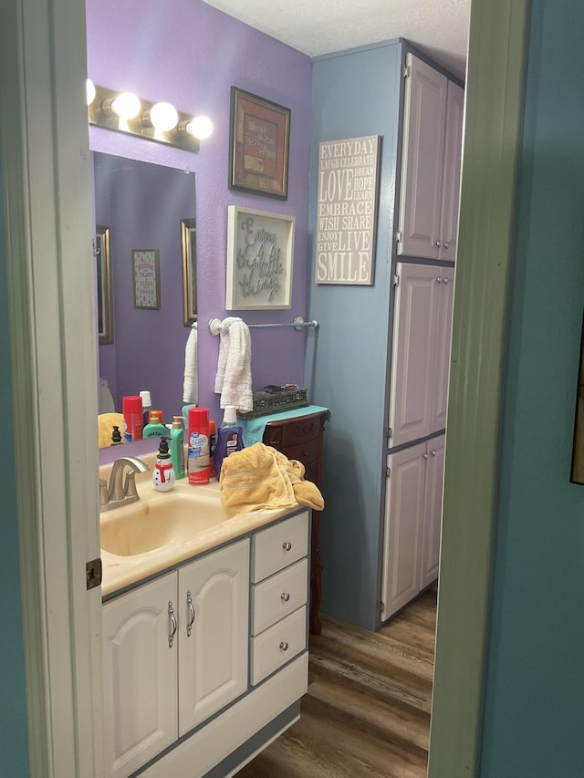 4811 State Route Cc, West Plains, MO 65775 - bathroom featuring wood finished floors and vanity