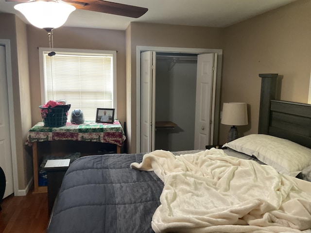 4811 State Route Cc, West Plains, MO 65775 - bedroom with a closet, wood finished floors, and a ceiling fan