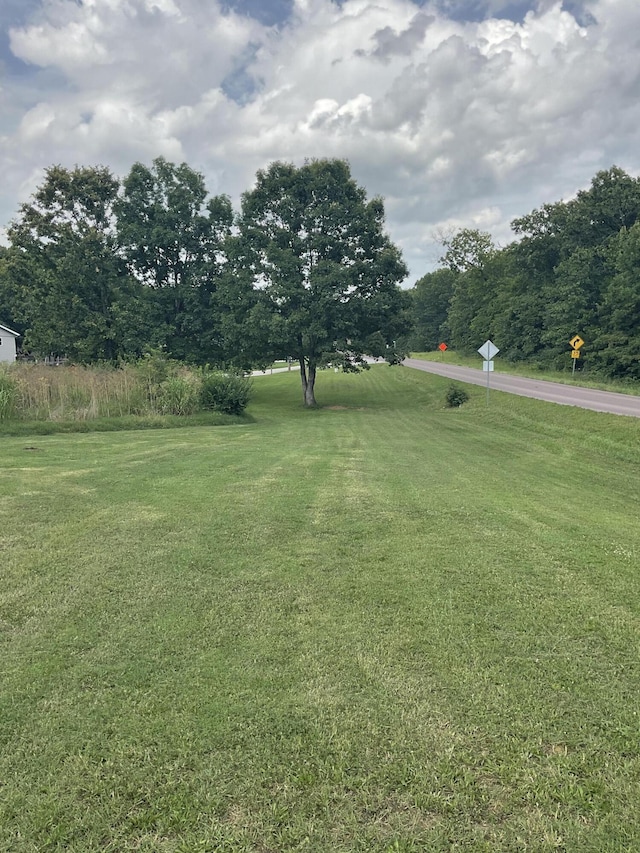 4811 State Route Cc, West Plains, MO 65775 - view of grassy yard