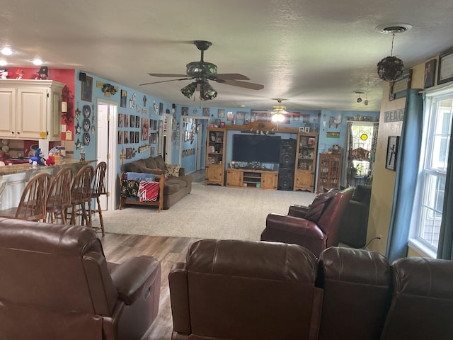 4811 State Route Cc, West Plains, MO 65775 - living room featuring a ceiling fan and wood finished floors