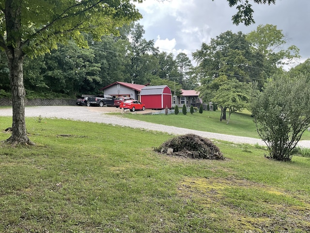 4811 State Route Cc, West Plains, MO 65775 - view of grassy yard with gravel driveway