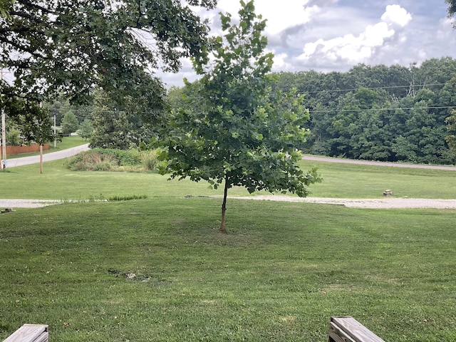 4811 State Route Cc, West Plains, MO 65775 - view of grassy yard