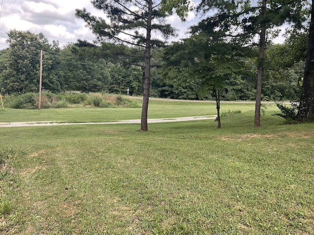 4811 State Route Cc, West Plains, MO 65775 - view of green lawn
