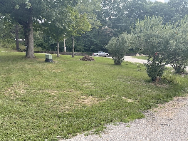 4811 State Route Cc, West Plains, MO 65775 - view of yard