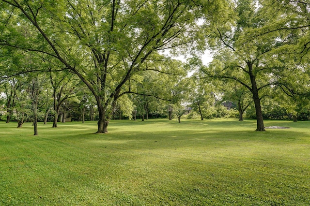 623 E Weaver Rd, Springfield, MO 65810 - view of home's community with a yard and view of wooded area