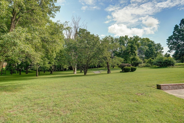623 E Weaver Rd, Springfield, MO 65810 - view of green lawn featuring view of wooded area