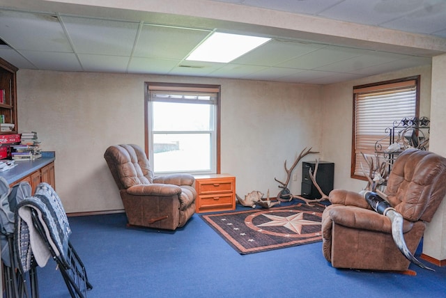 258 State Highway 32, Buffalo, MO 65622 - living area with a drop ceiling and carpet