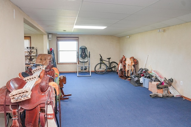 258 State Highway 32, Buffalo, MO 65622 - exercise area with carpet