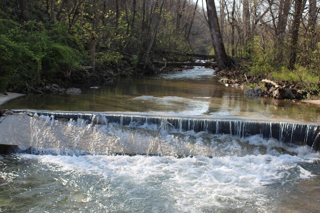 2240 Mease Dr, Reeds Spring, MO 65737 - water view featuring a heavily wooded area