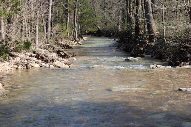 2240 Mease Dr, Reeds Spring, MO 65737 - water view