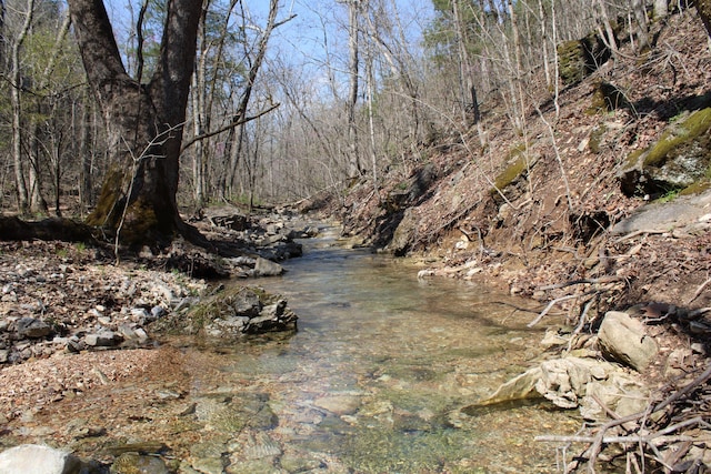 2240 Mease Dr, Reeds Spring, MO 65737 - water view