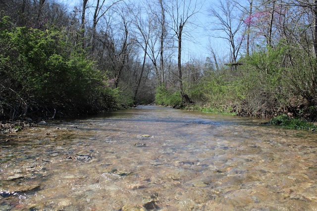 2240 Mease Dr, Reeds Spring, MO 65737 - view of street