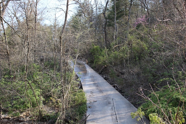 2240 Mease Dr, Reeds Spring, MO 65737 - surrounding community with driveway