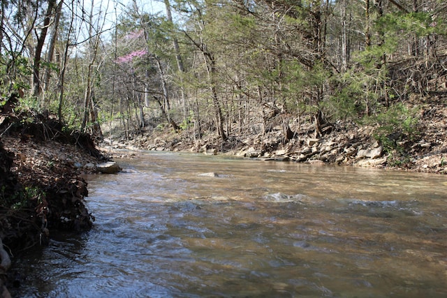 2240 Mease Dr, Reeds Spring, MO 65737 - water view
