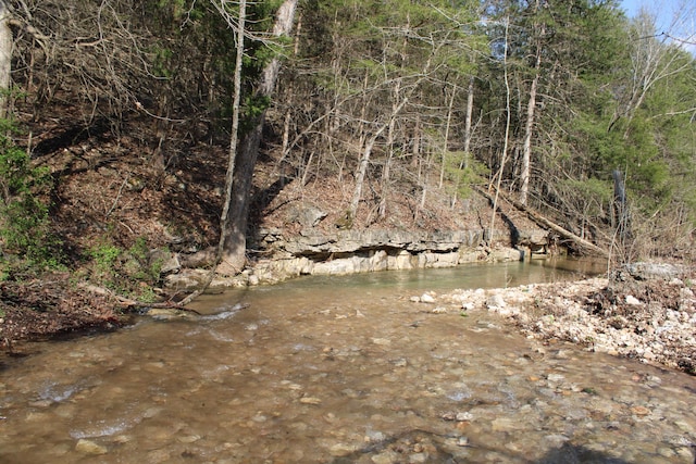 2240 Mease Dr, Reeds Spring, MO 65737 - water view