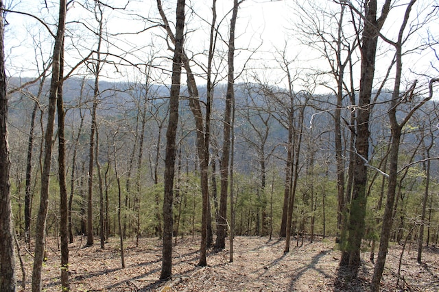 2240 Mease Dr, Reeds Spring, MO 65737 - view of woods