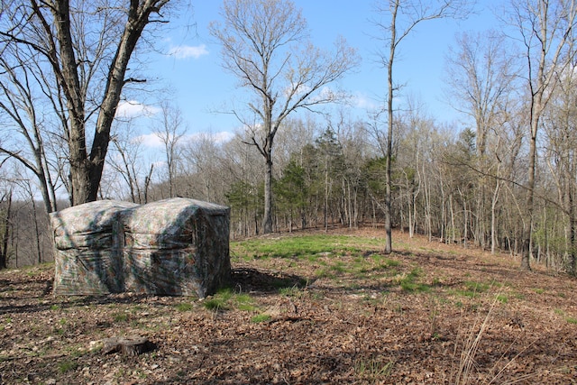 2240 Mease Dr, Reeds Spring, MO 65737 - view of yard featuring a wooded view