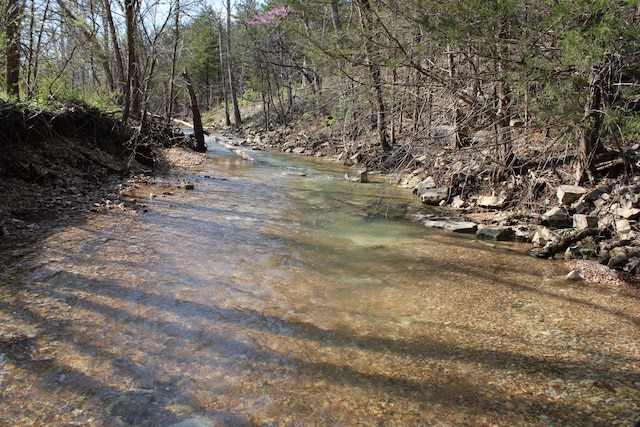2240 Mease Dr, Reeds Spring, MO 65737 - view of road