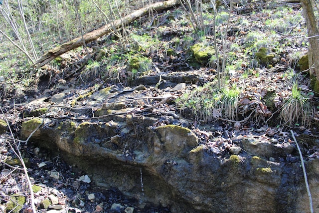 2240 Mease Dr, Reeds Spring, MO 65737 - view of local wilderness