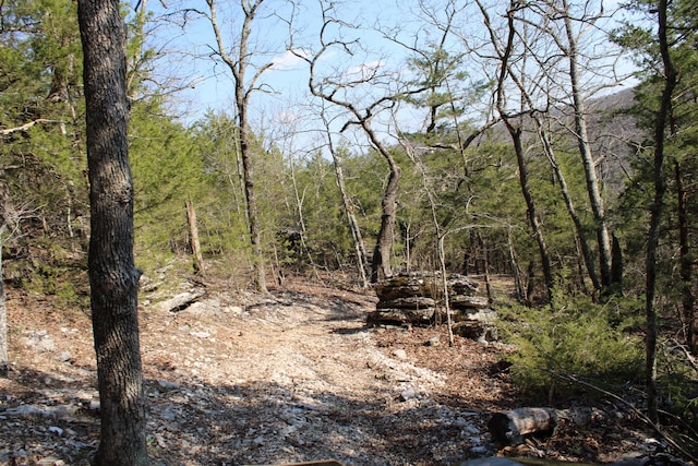 2240 Mease Dr, Reeds Spring, MO 65737 - view of wooded area