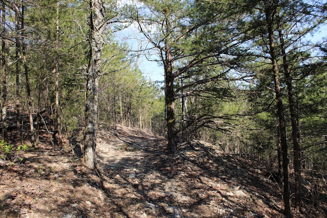 2240 Mease Dr, Reeds Spring, MO 65737 - view of wooded area