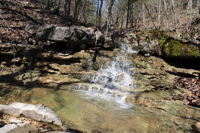 2240 Mease Dr, Reeds Spring, MO 65737 - view of local wilderness