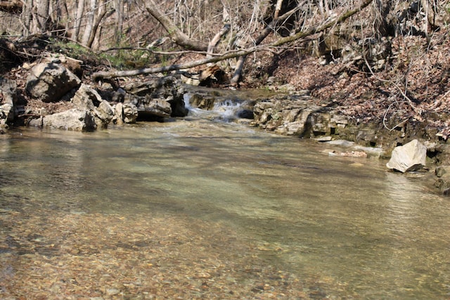 2240 Mease Dr, Reeds Spring, MO 65737 - water view