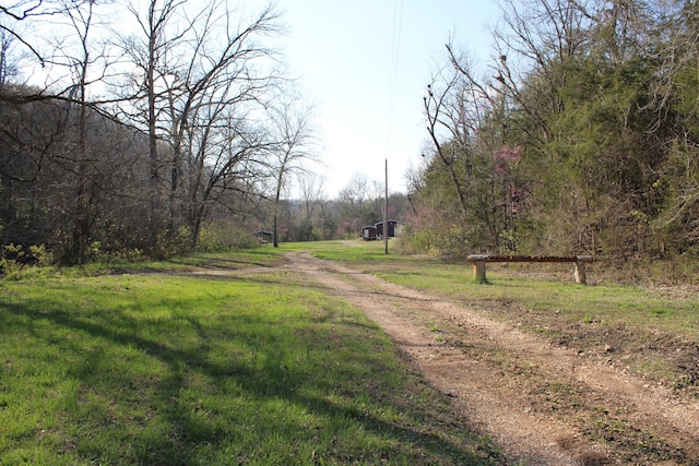 2240 Mease Dr, Reeds Spring, MO 65737 - view of dirt / gravel road with a view of trees