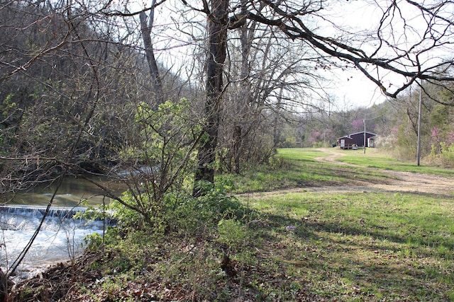 2240 Mease Dr, Reeds Spring, MO 65737 - view of yard featuring a forest view