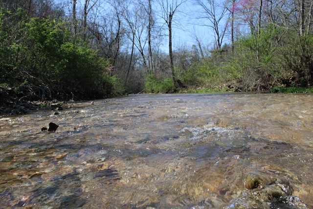 2240 Mease Dr, Reeds Spring, MO 65737 - view of nature