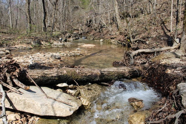 2240 Mease Dr, Reeds Spring, MO 65737 - view of local wilderness