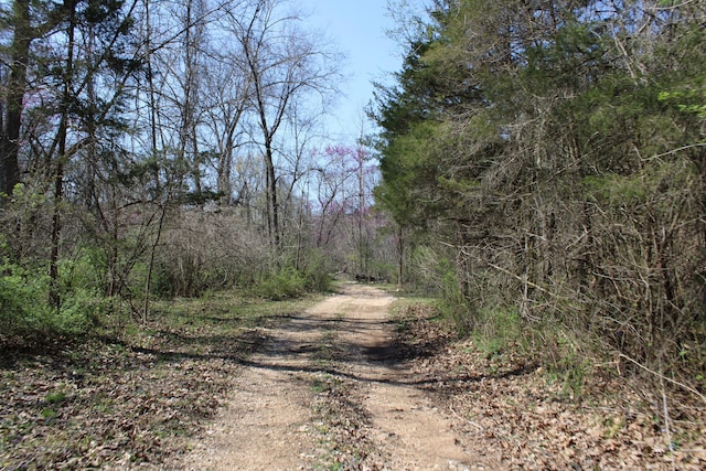 2240 Mease Dr, Reeds Spring, MO 65737 - view of road featuring a forest view