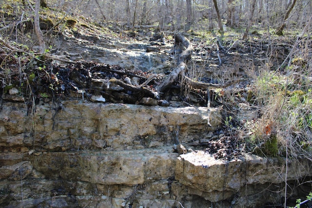 2240 Mease Dr, Reeds Spring, MO 65737 - view of nature