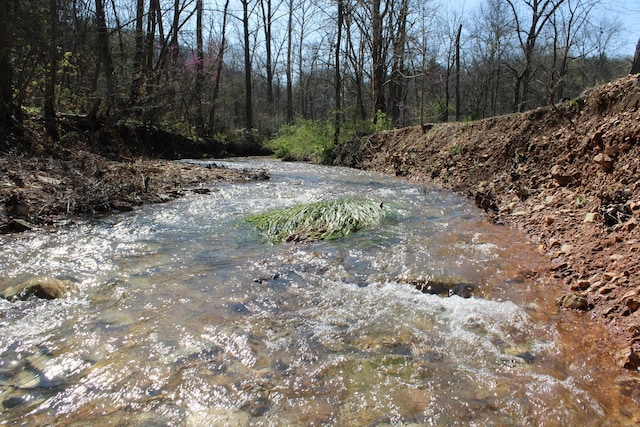 2240 Mease Dr, Reeds Spring, MO 65737 - water view with a heavily wooded area