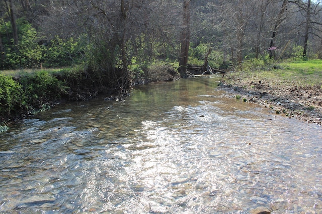 2240 Mease Dr, Reeds Spring, MO 65737 - water view featuring a forest