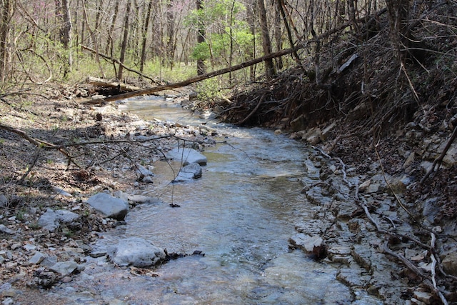 2240 Mease Dr, Reeds Spring, MO 65737 - view of local wilderness