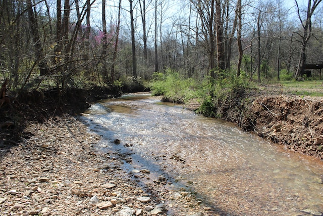 2240 Mease Dr, Reeds Spring, MO 65737 - water view