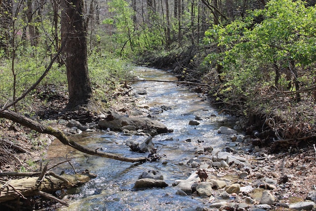 2240 Mease Dr, Reeds Spring, MO 65737 - water view featuring a forest