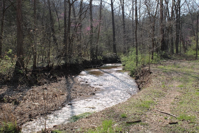 2240 Mease Dr, Reeds Spring, MO 65737 - water view with a forest