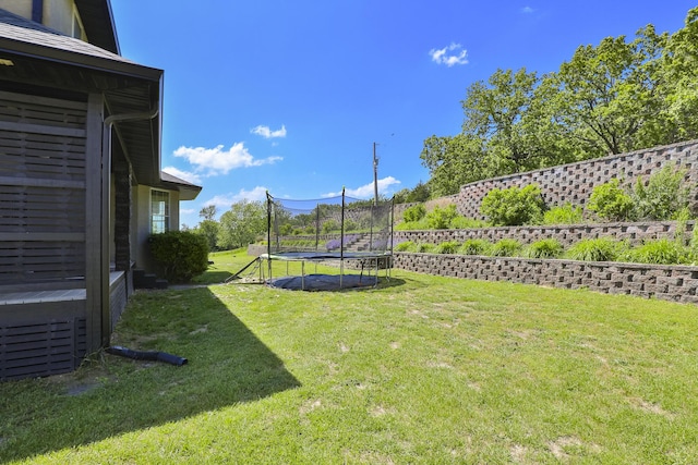 295 Headwaters Dr, Marshfield, MO 65706 - view of grassy yard featuring a trampoline