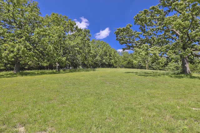 295 Headwaters Dr, Marshfield, MO 65706 - view of grassy yard