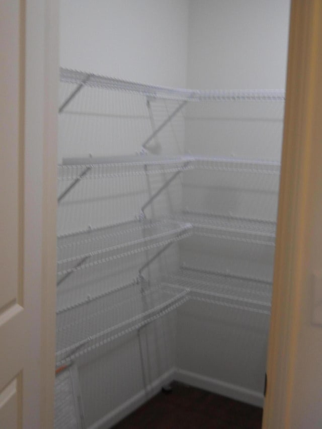 424 Echo Valley Cir, Reeds Spring, MO 65737 - view of storage area
