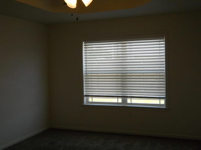 424 Echo Valley Cir, Reeds Spring, MO 65737 - carpeted spare room with a ceiling fan and baseboards