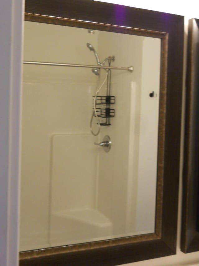 424 Echo Valley Cir, Reeds Spring, MO 65737 - bathroom with a shower