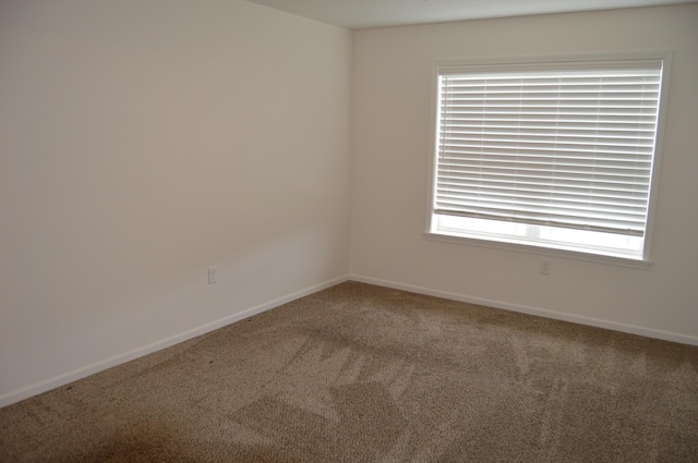 424 Echo Valley Cir, Reeds Spring, MO 65737 - photo 30